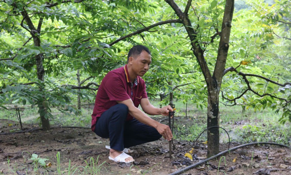 Vườn mẫu “nâng tầm”  nông thôn mới