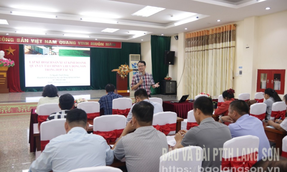 Hướng dẫn lập kế hoạch kinh doanh cho hợp tác xã