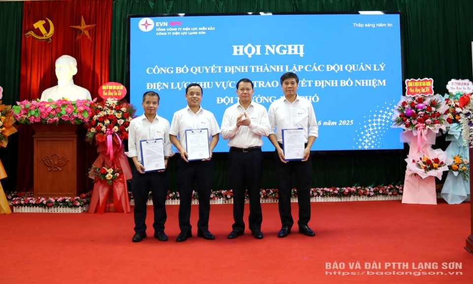 Công ty Điện lực Lạng Sơn: Thành lập các Đội Quản lý điện lực khu vực