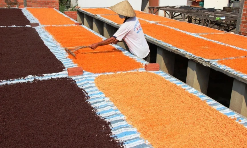 Đặc sắc nghề làm muối ớt Tây Ninh - di sản Văn hóa Phi vật thể Quốc gia