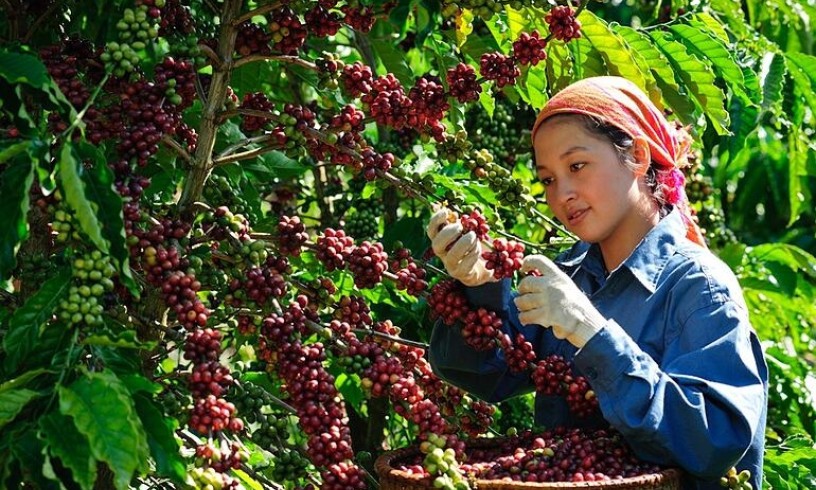 Doanh nghiệp tăng tốc đầu tư xanh để giảm phát thải