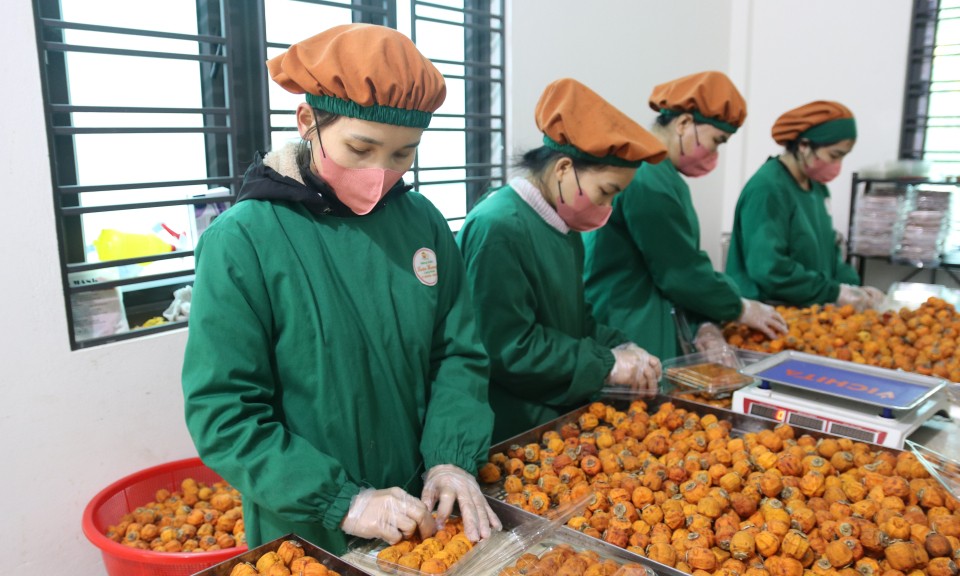 Những "bóng hồng" khởi nghiệp