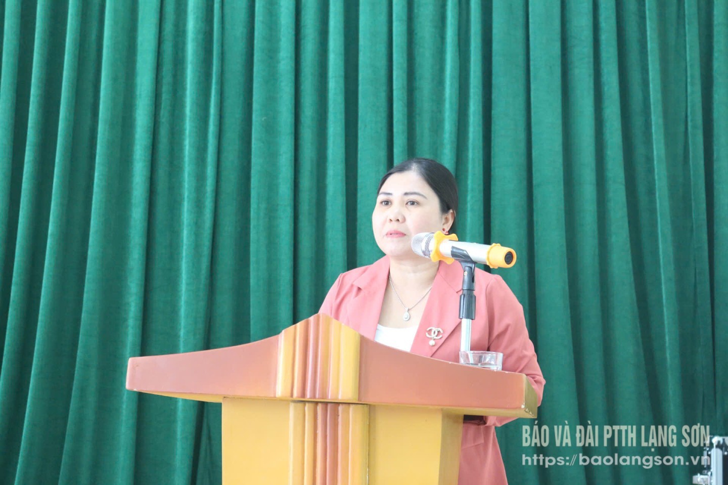 Đại diện HTX phát biểu ý kiến tại hội nghị