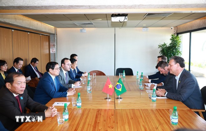 Thủ tướng Phạm Minh Chính làm việc với Bộ Nông nghiệp và Chăn nuôi Brazil. (Ảnh: Dương Giang/TTXVN)