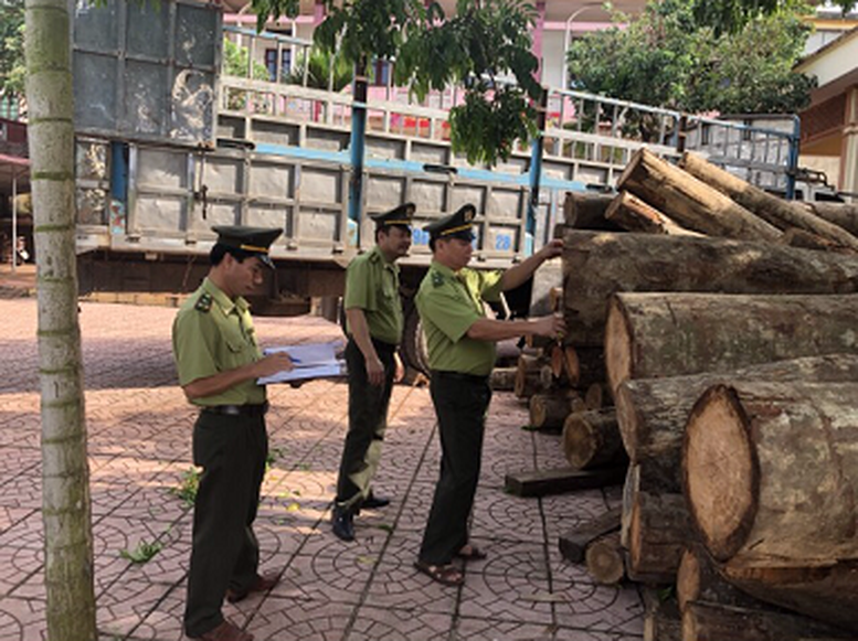 Có 3 hình thức kiểm tra, truy xuất nguồn gốc lâm sản