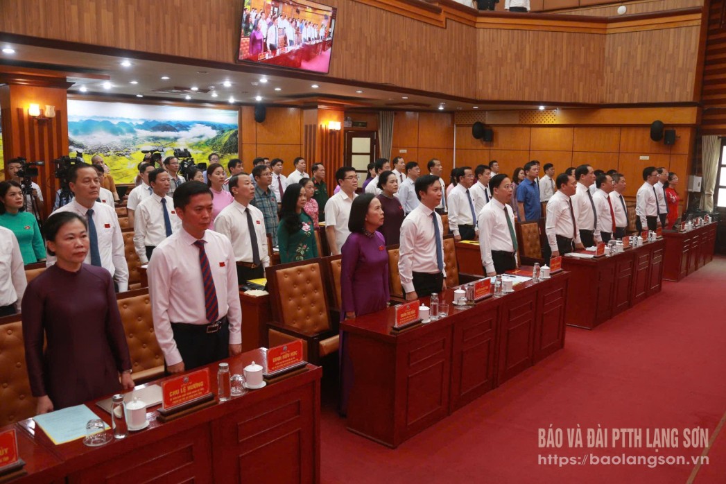 Các đại biểu thực hiện nghi thức chào cờ
