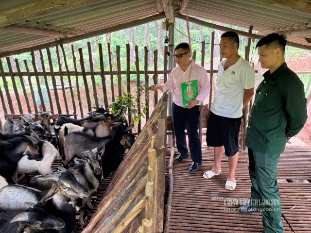 Cựu chiến binh xã Thống Nhất (ở giữa) giới thiệu về mô hình kinh tế chăn nuôi dê