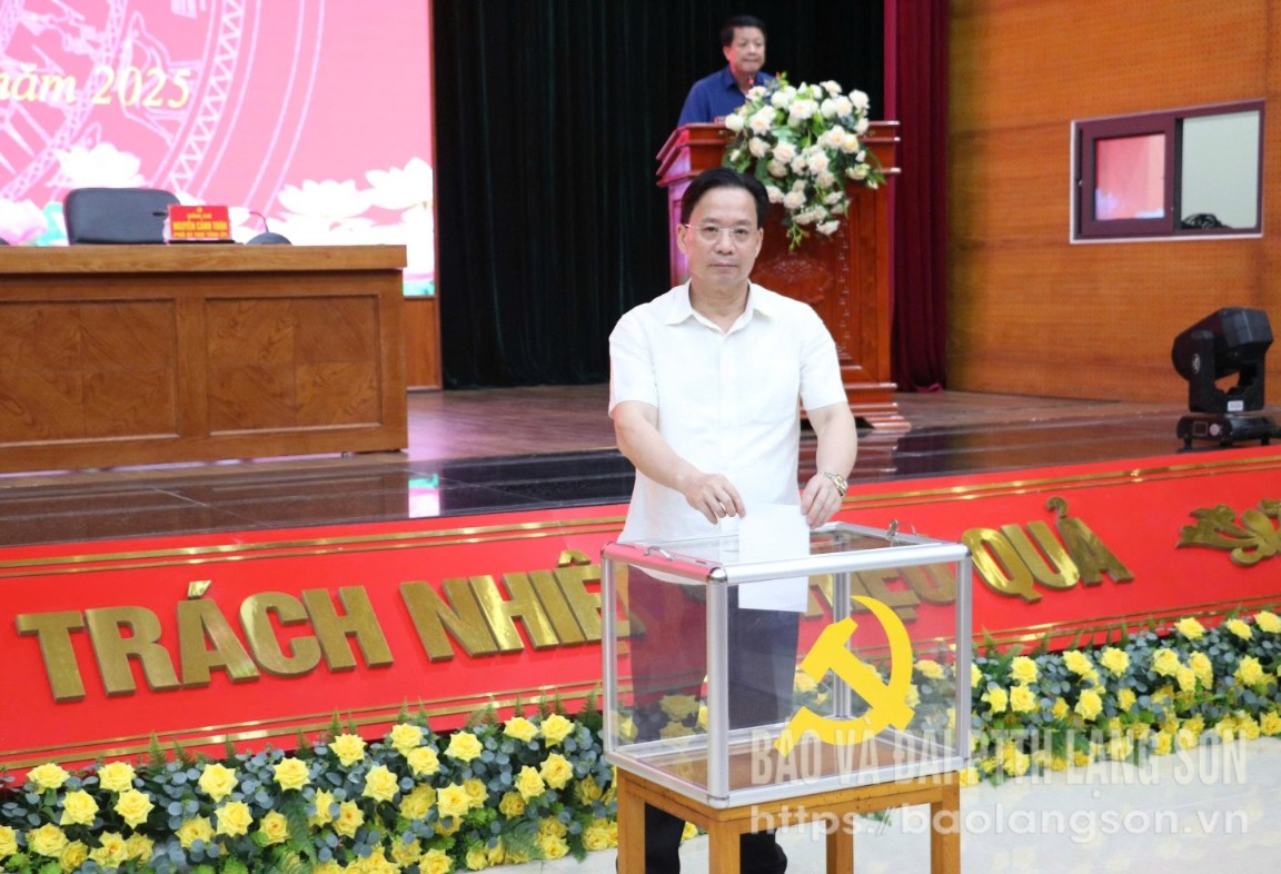 Đồng chí Hoàng Văn Nghiệm, Bí thư Tỉnh ủy, Trưởng Đoàn đại biểu Quốc hội tỉnh bỏ phiếu giới thiệu nhân sự tại hội nghị