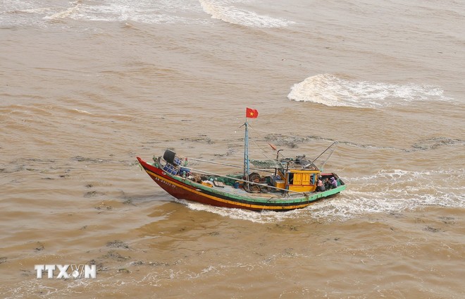 Ảnh minh họa. (Ảnh: TTXVN)