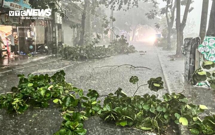 Biển bảng, cây cối gãy đổ trong cơn dông xảy ra tại Hà Nội vào chiều 19/7. (Ảnh: Thành Vĩnh)
