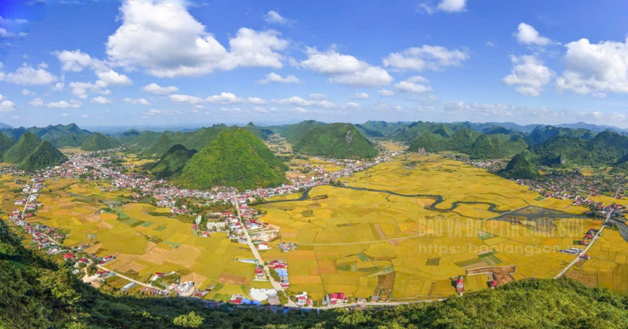 Mùa vàng ở thung lũng Bắc Sơn - Ảnh: DƯƠNG TUẤN