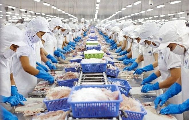Chuyên gia ADB nhận định kinh tế Việt Nam được kỳ vọng vẫn sẽ vững vàng trong năm 2025. (Ảnh: Vietnam+)