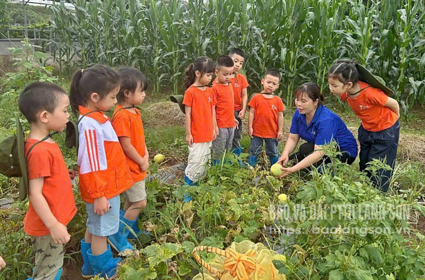 Trẻ được tham gia trải nghiệm bé làm bác nông dân khi học hè tại Trường Mầm non Tuổi Thơ 