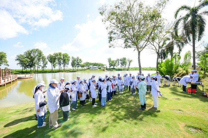 (Ảnh: Quang Định)