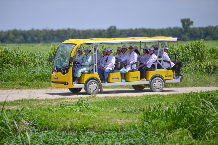 (Ảnh: Quang Định)