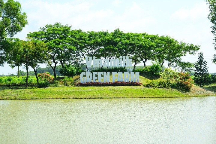 (Ảnh: Quang Định)