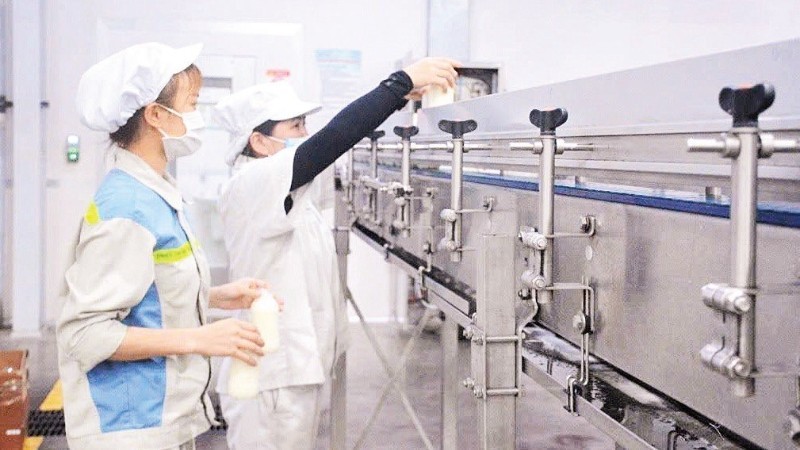 Công nghệ sản xuất sữa theo tiêu chuẩn hiện đại tại Vinamilk.