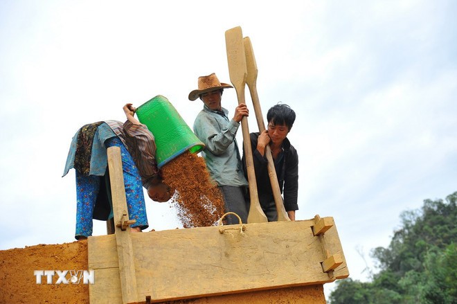 Người Mông đổ đất vào khuôn gỗ và dùng những chiếc vồ nện chặt đất để làm tường. (Ảnh: Minh Đức/TTXVN)