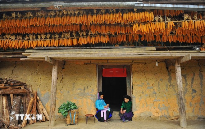Nhà trình tường của người Mông còn có thêm cửa phụ và cửa sổ thoáng khí, cửa bao giờ cũng mở vào trong chứ không mở ra ngoài. (Ảnh: Minh Đức/TTXVN)