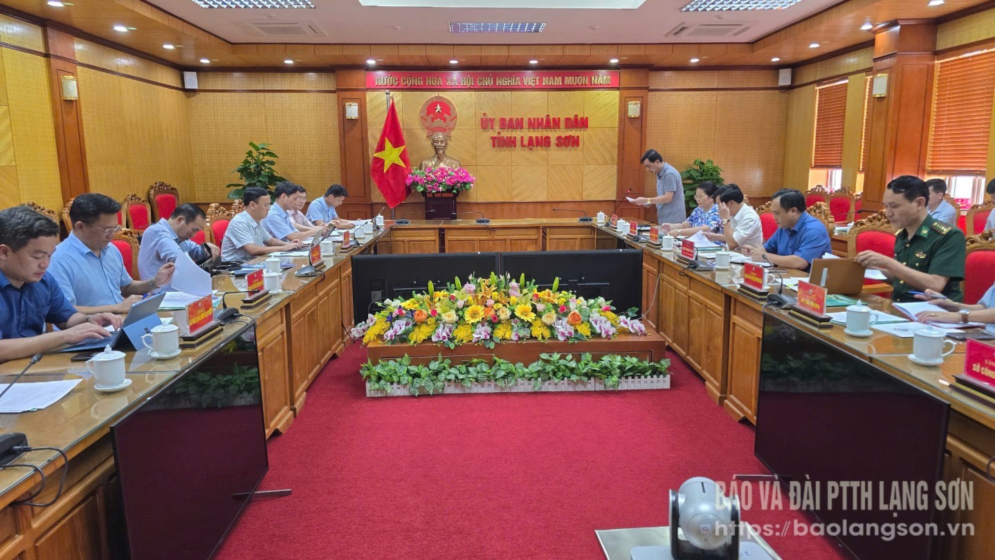 Các đại biểu tham dự buổi làm việc