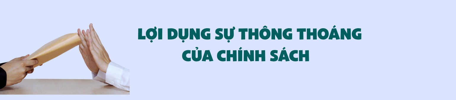 Ảnh co giãn vừa văn bản