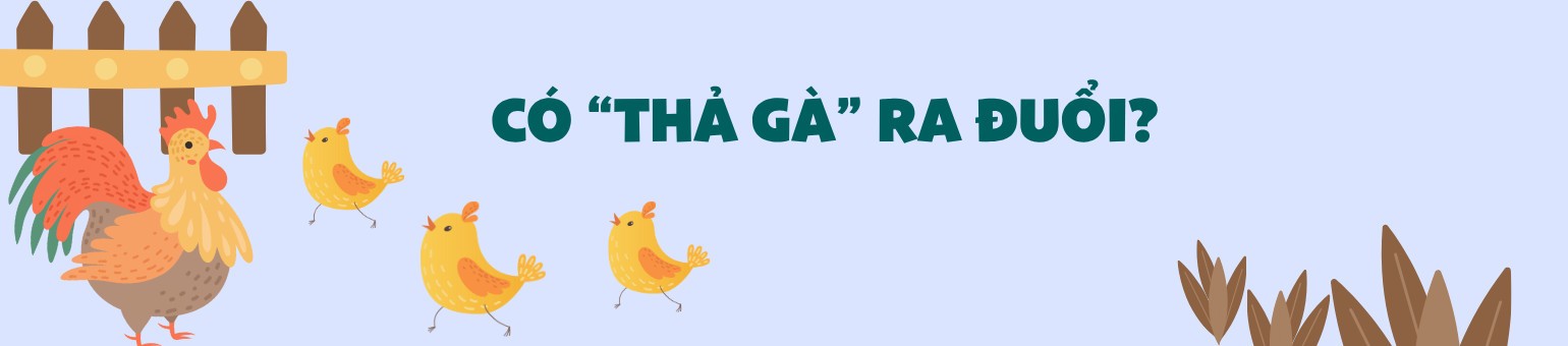 Ảnh co giãn vừa văn bản