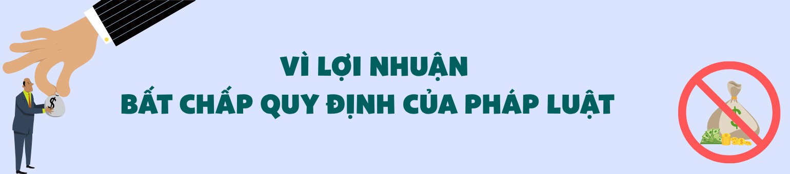 Ảnh co giãn vừa văn bản