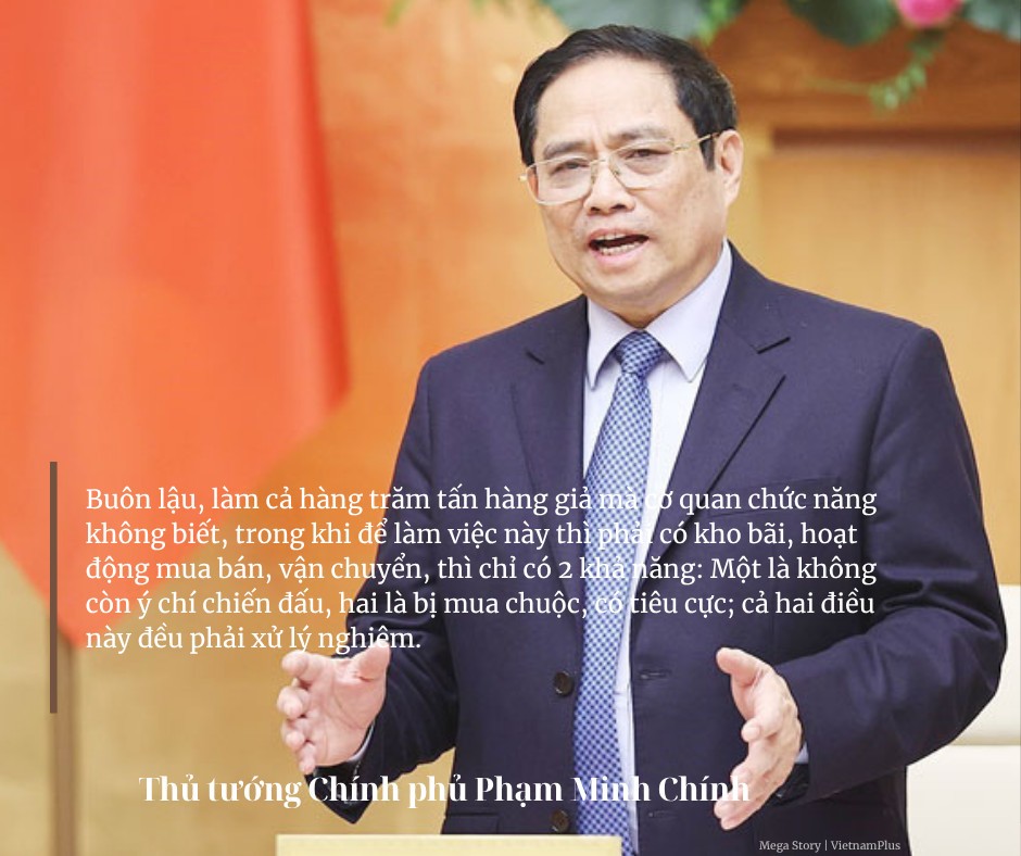 Ảnh co giãn vừa văn bản
