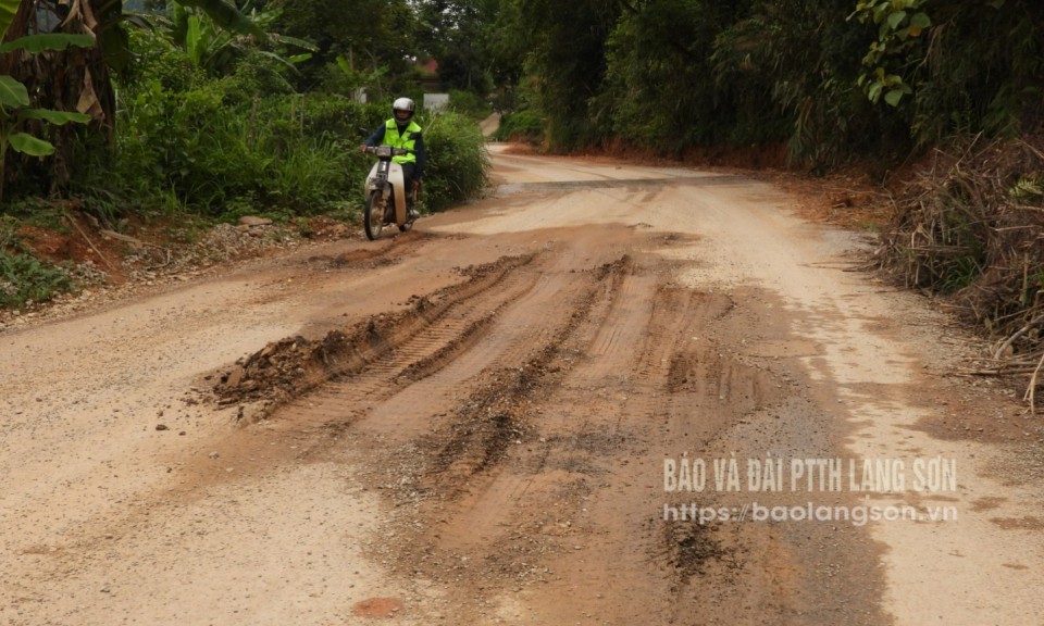 Tốc độ rùa sửa đường 226