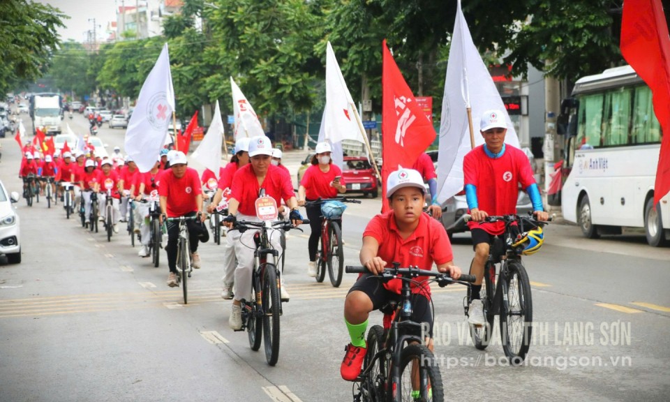 Có một mùa tình nguyện