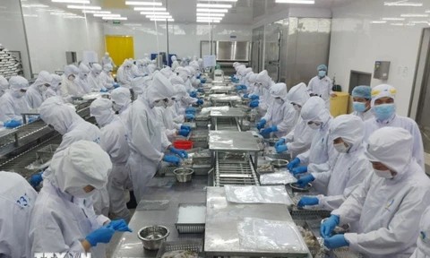 6 tháng năm 2025: Xuất khẩu nông, lâm, thủy sản tăng 14,3%