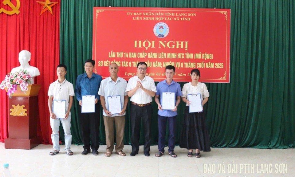 Sơ kết tình hình phát triển kinh tế tập thể 6 tháng đầu năm 2025