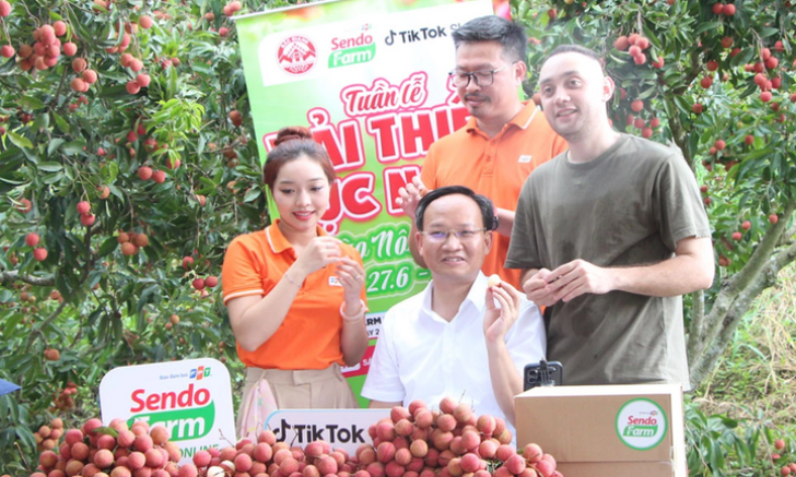 Lãnh đạo tỉnh, DN livestream bán hàng: Sân chơi không còn dành riêng cho KOLs