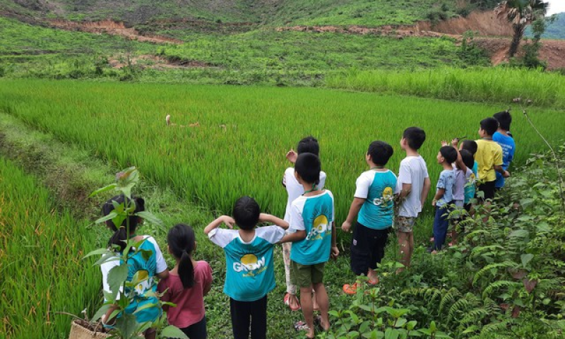 Trại hè bị chê như ‘học kỳ đi đày’, nhiều phụ huynh vội quay xe