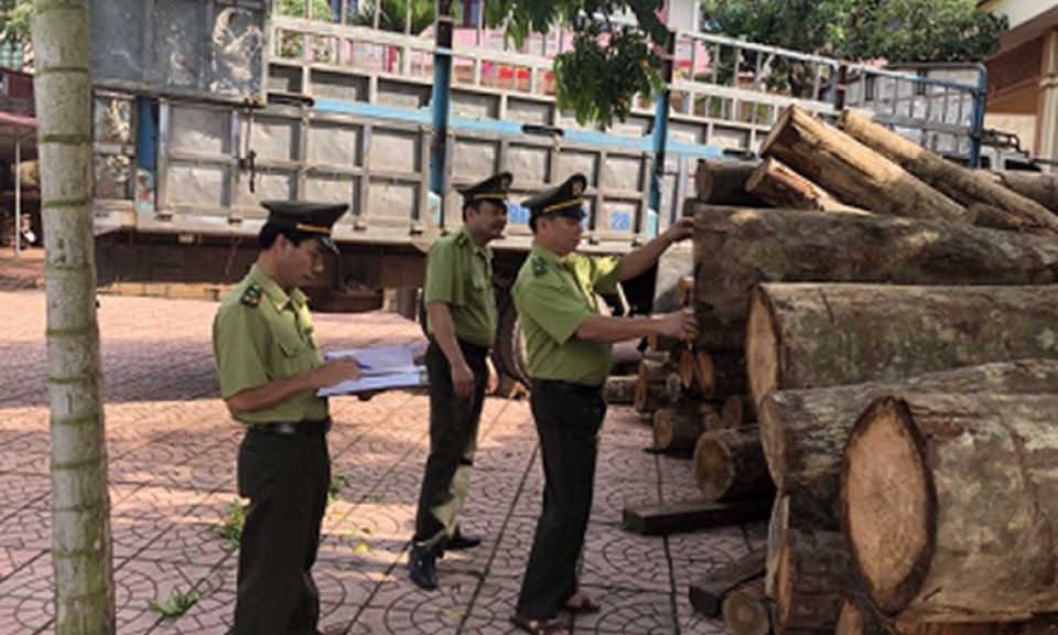 3 hình thức kiểm tra, truy xuất nguồn gốc lâm sản