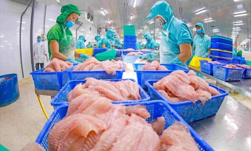 Xuất khẩu nông lâm thủy sản: Thách thức và cơ hội đan xen để cán mốc 65 tỷ USD