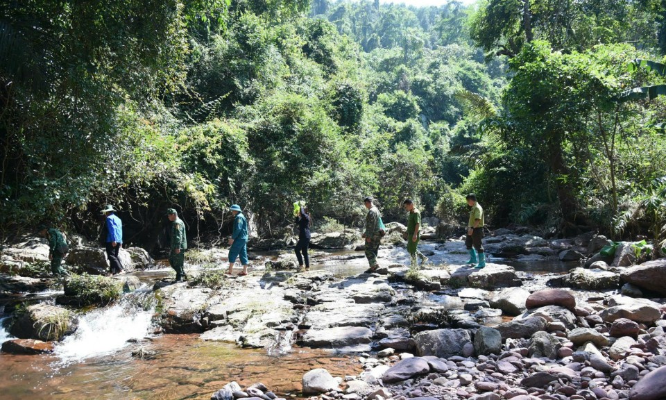 Kiểm lâm thích nghi để đi lên