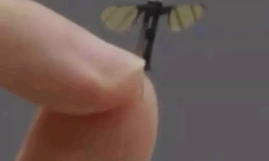 Mổ xẻ 'drone muỗi' Trung Quốc chuyên dùng cho do thám quân sự
