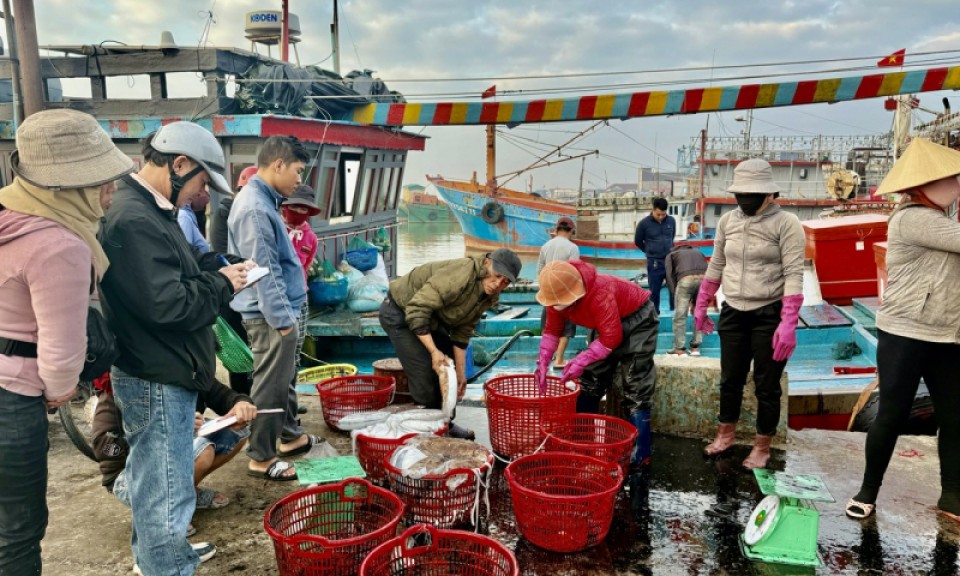 Mùa cá Nam - mùa của những giấc mơ trăm dặm biển khơi