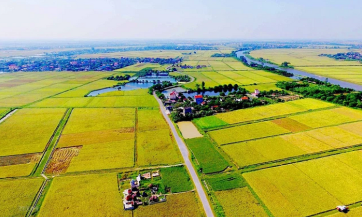 Chuyển đất nông nghiệp sang đất ở: Hoảng hốt tiền sử dụng đất cao đột biến