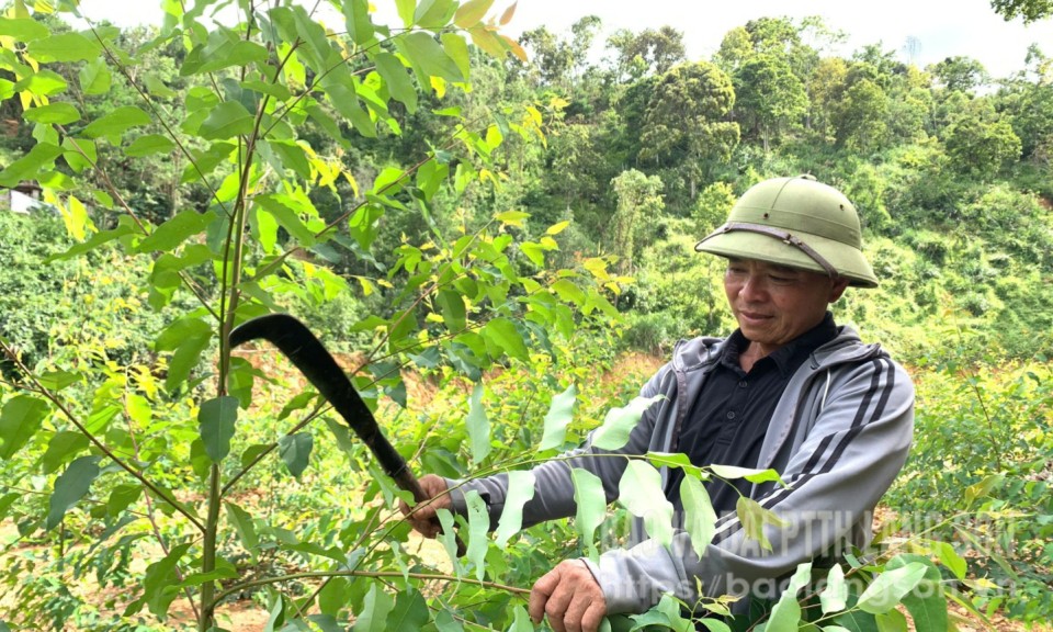 Đổi thay Long Tràng