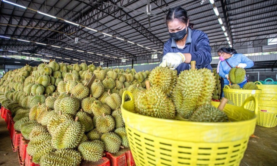 Xuất khẩu tiếp tục là động lực chính thúc đẩy tăng trưởng kinh tế