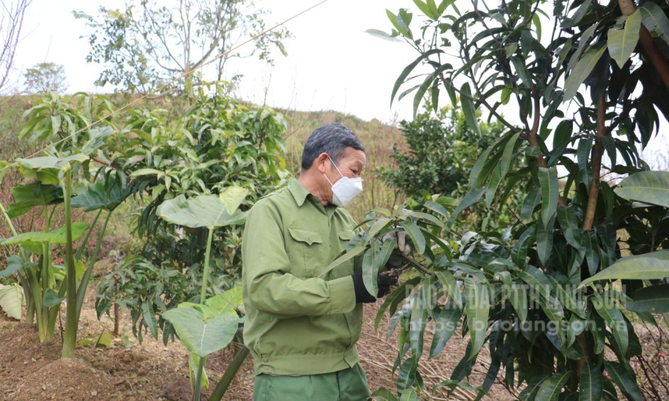 Xứng danh cựu thanh niên xung phong