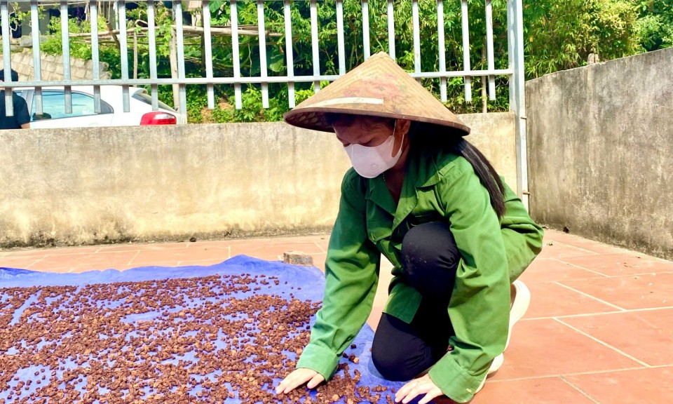 Biến mắc mật thành quả đặc sản