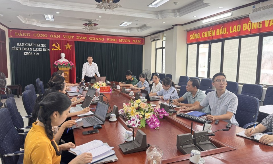 Tỉnh đoàn bàn giải pháp hỗ trợ vận hành chính quyền địa phương 2 cấp