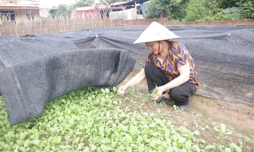 Xua tan “cơn khát” vốn