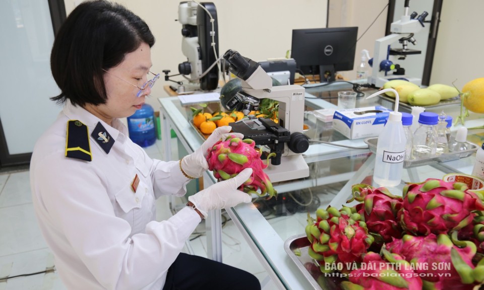 Tăng tốc thông quan – thúc đẩy hoa quả tươi xuất khẩu