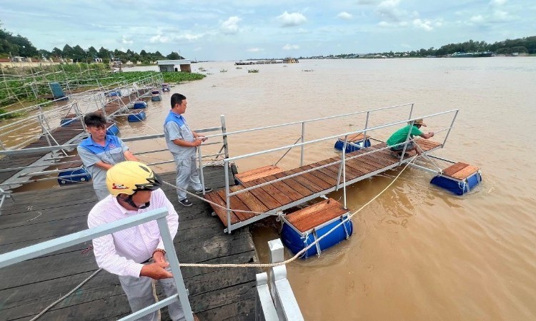 Nét đẹp văn hóa ứng xử với thiên nhiên