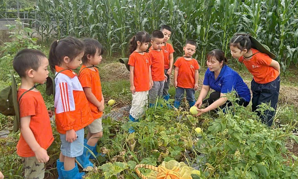 Dạy hè ở trường tư