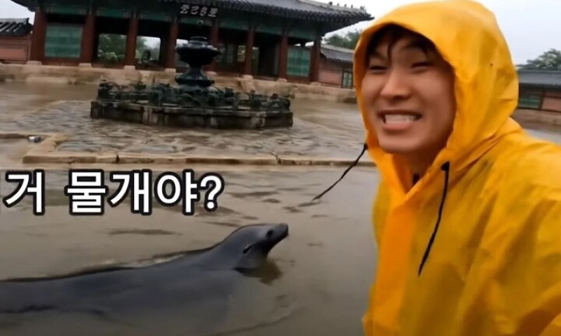 Video AI giả cảnh lũ lụt tại cung điện gây lo ngại về deepfake ở Hàn Quốc